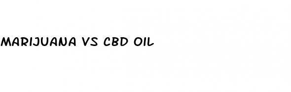 marijuana vs cbd oil