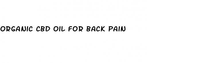 organic cbd oil for back pain