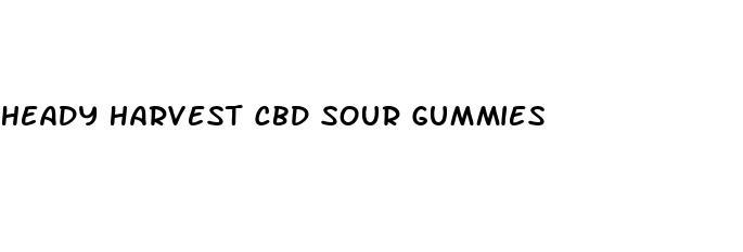 heady harvest cbd sour gummies