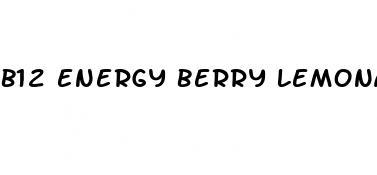 b12 energy berry lemonade melts