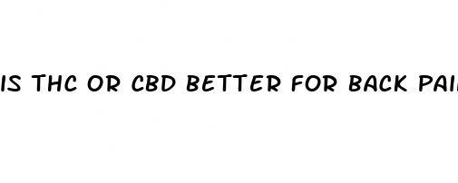 is thc or cbd better for back pain