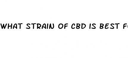 what strain of cbd is best for pain