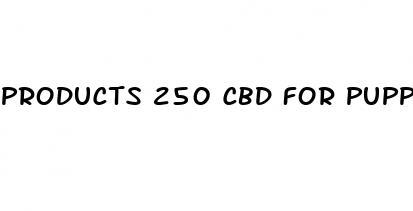 products 250 cbd for puppy made in denver