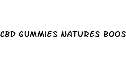 cbd gummies natures boost