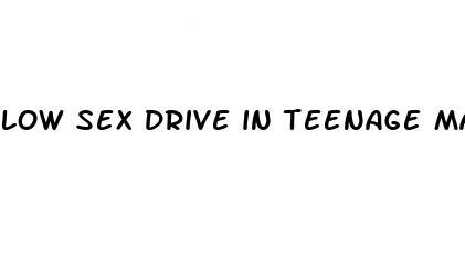 low sex drive in teenage male