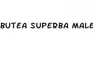 butea superba male enhancement