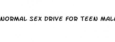 normal sex drive for teen males