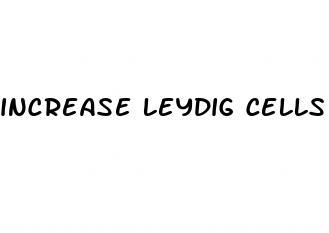 increase leydig cells