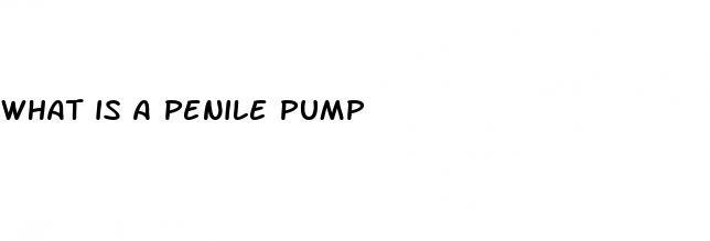 what is a penile pump