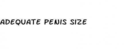 adequate penis size