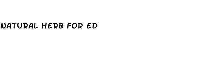 natural herb for ed