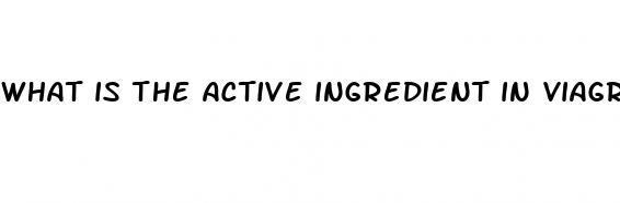 what is the active ingredient in viagra