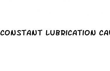 constant lubrication causes high sex drive