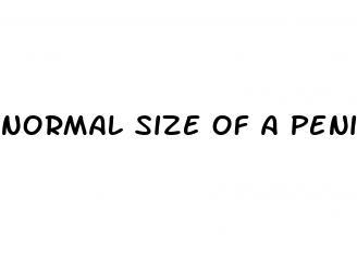 normal size of a penis