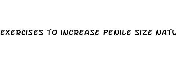 exercises to increase penile size naturally