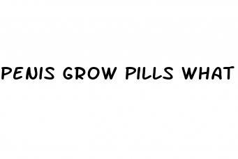 penis grow pills what work