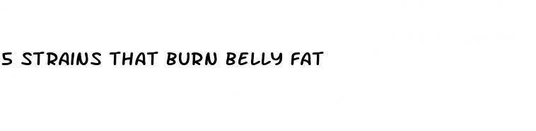 5 strains that burn belly fat