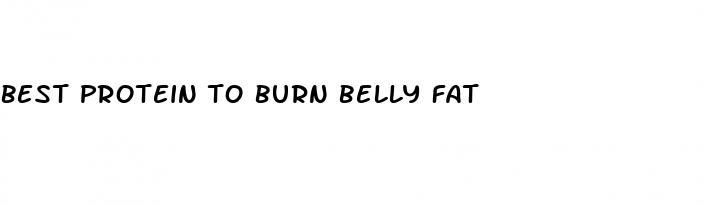 best protein to burn belly fat