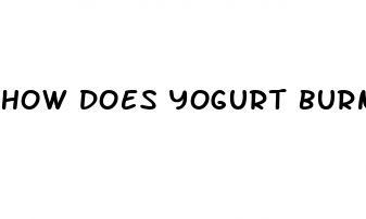 how does yogurt burn belly fat