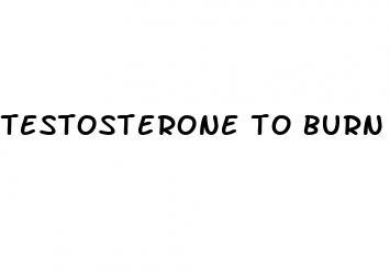 testosterone to burn belly fat