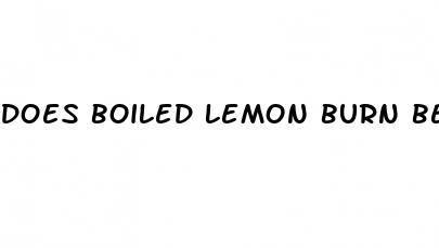 does boiled lemon burn belly fat