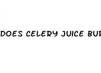 does celery juice burn belly fat