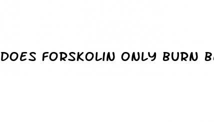 does forskolin only burn belly fat