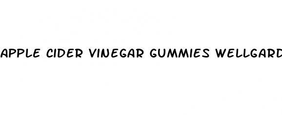 apple cider vinegar gummies wellgard