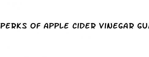 perks of apple cider vinegar gummies