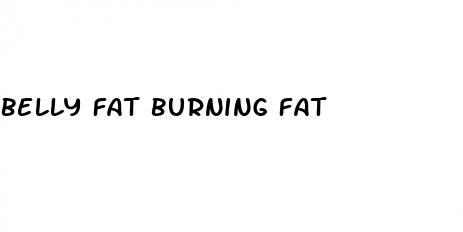 belly fat burning fat