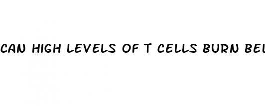 can high levels of t cells burn belly fat