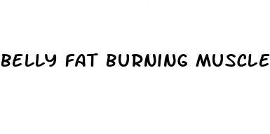 belly fat burning muscle gain meal plan