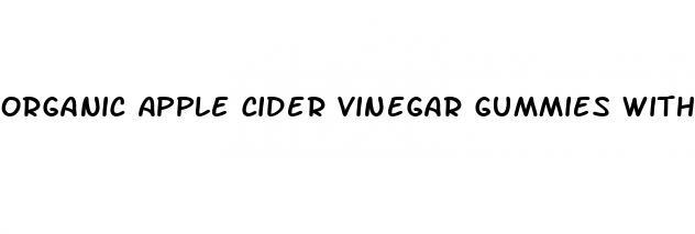 organic apple cider vinegar gummies with t