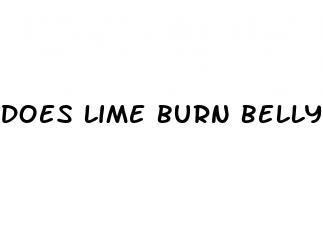 does lime burn belly fat