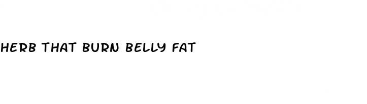 herb that burn belly fat