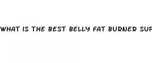 what is the best belly fat burner supplement