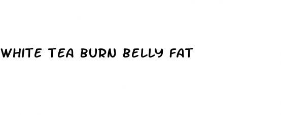 white tea burn belly fat