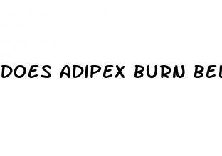 does adipex burn belly fat