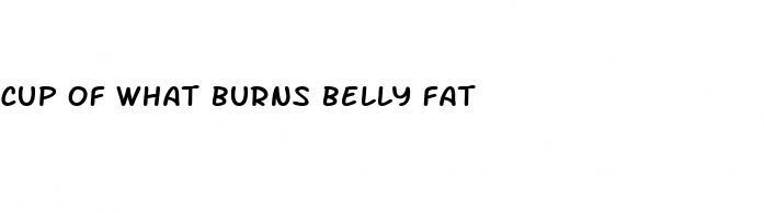 cup of what burns belly fat