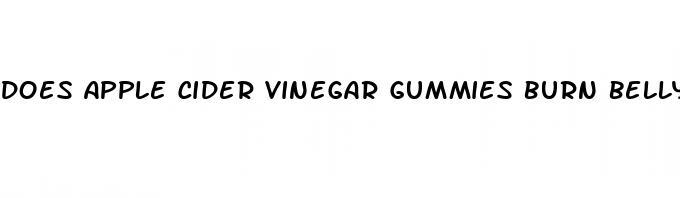 does apple cider vinegar gummies burn belly fat