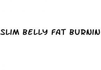 slim belly fat burning belt