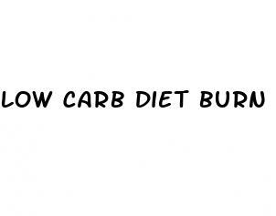 low carb diet burn belly fat